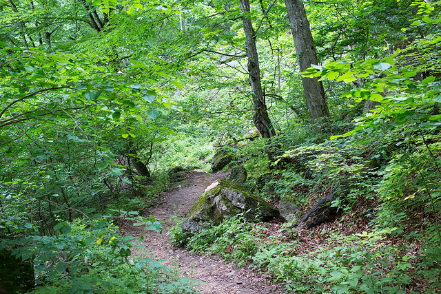 road for hiking to lastiver